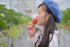 ドラマ　ストロベリーナイト・サーガの二階堂ふみの 衣装とバッグやアクセサリーのブランドはどこ？