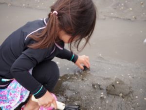 潮干狩りのベストシーズンの時期や時間帯 大潮(おおしお)とは？