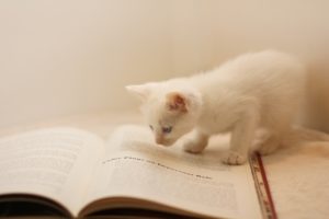 浜崎あゆみの自伝的小説がギョーカイの怒りを買った理由