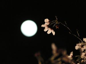 浜辺美波は世にも奇妙な物語『大根侍』に出演　本名やプロフィール 彼氏は？