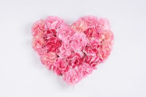 カーネションの鉢植えが枯れる原因は？ お手入れの方法や花言葉のオレンジは「情熱」