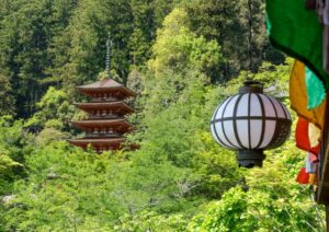 鎌倉の長谷寺は 梅雨のこの時期だからこそ楽しめる！ 一押しスポットです。 6月の梅雨の紫陽花(あじさい)は必見です。 ぜひ雨の日に訪れてほしいスポットです。 お店では大仏ビスケットでインスタ映え間違いなし カンノンコーヒー カマクラ(KANNON COFFEE kamakura)と 店舗で手拭いを販売する手ぬぐいカフェ 一花屋も。