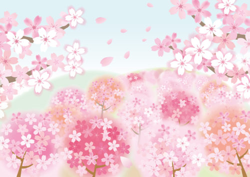 一心行の大桜(熊本県)は桜の名所で人気スポット