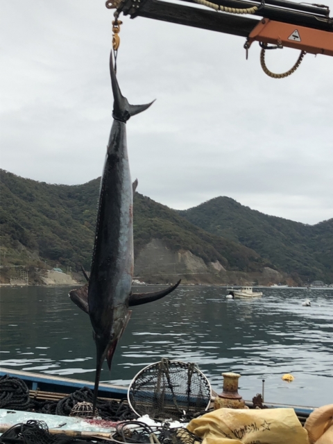 カジキ流し網漁船・北海道釧路沖で連絡途絶えていた漁船7人無事確認