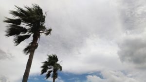 「台風2019」11号「バイルー」が発生!予想進路と上陸は?