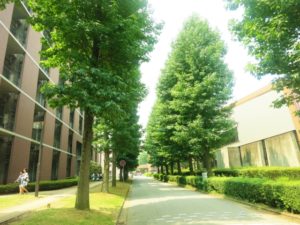 新潟大学の50代准教授が女子学生にアカハラ・セクハラで停職1カ月