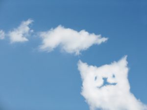 三上大樹アナの結婚相手の名前や顔画像は？馴れ初めや妊娠はしてる？