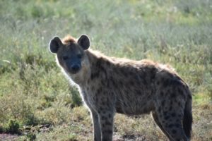 嫌いなジャニーズ2019文春ランキング! アンケートの参加方法は？