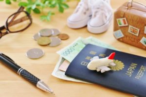 トラベルオーガナイザーのおすすめや使い方！ブランドのミレストなど