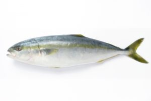 名取市返礼品自主回収されたブリ！食べたら唇がしびれた！原因は？